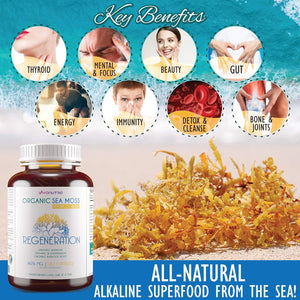 Regeneration Organic Irish Sea Moss Capsules