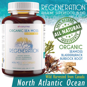 Regeneration Organic Irish Sea Moss Capsules